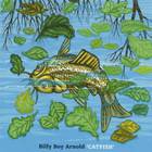 Billy Boy Arnold - Catfish