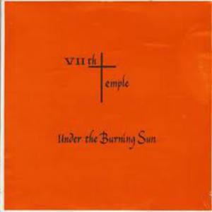 Under The Burning Sun (Vinyl)