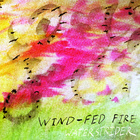 Waterstrider - Wind-Fed Fire (EP)