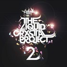 The Liquid Crystal Project II