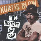Kurtis Blow - The History Of Rap
