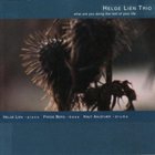 Helge Lien Trio - What Are You Doing For The Rest Of Your Life