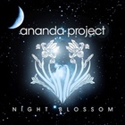 Ananda Project - Night Blossom CD1