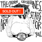 The Sainte Catherines - Those Stars Are For You
