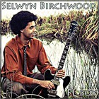 Selwyn Birchwood - Fl Boy