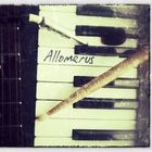 Allomerus - Allomerus
