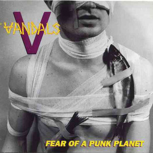 Fear Of A Punk Planet