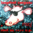 Inspiral Carpets - Cool As (EP)