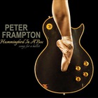 Peter Frampton - Hummingbird in a Box