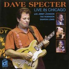 Dave Specter - Live In Chicago