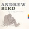 Andrew Bird - Things Are Really Great Here, Sort Of...