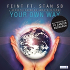 Feint - Your Own Way (CDS)