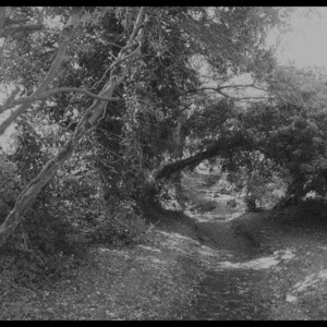 Misanthropic Euphoria