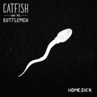 Catfish And The Bottlemen - Homesick (CDS)