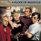 A Flock Of Seagulls - Platinum & Gold Collection