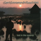 Gert Emmens - Lost In The Swamp (With Ruud Heij)