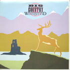 Big Country - Wonderland (Vinyl)
