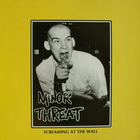 Minor Threat - Screaming At The Wall  (Vinyl)