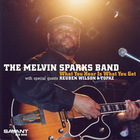 Melvin Sparks - What You Hear Is What You Get