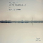 Ambient Jazz Ensemble - Suite Shop