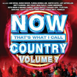 Now That's What I Call Country (Vol. 7)