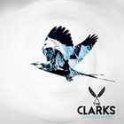 Clarks - Feathers & Bones