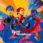 Babyshambles - Sequel To The Prequel (Limited Edition) CD1
