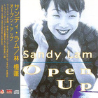 Sandy Lam - Open Up