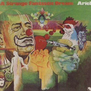 A Strange Fantastic Dream (Vinyl)