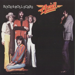 Rock & Roll Scars (Vinyl)