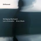 Driftwood (With Larry Grenadier & Brian Blade)
