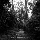 Reveries In The Ancient Forest (EP)