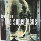 The Superjesus - Down Again (CDS)
