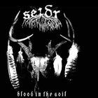 Seidr - Blood In The Soil (EP)