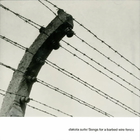 Dakota Suite - Songs For A Barbed Wire Fence