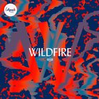 Citipointe Live - Wildfire