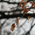 The Echelon Effect - Seasons Part 3