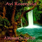 Avi Rosenfeld - A Moment In Our Life