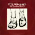 David And The Giants - Step In My Shoes (Vinyl)