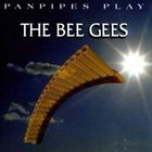 Ricardo Caliente - Panpipes Play The Bee Gees