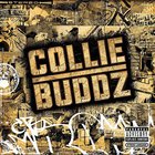 Collie Buddz - Come Around