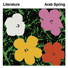 Literature - Arab Spring