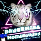 DANCEHALLHORNSOUND!!!! (With DJ Fishr Pryce)