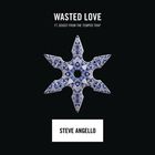 Steve Angello - Wasted Love (CDS)