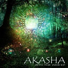 Akasha - Into The Web