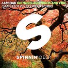 I Am Oak - On Trees And Birds And Fire: Sam Feldt & Bloombox Remix (CDS)