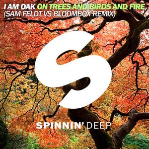 On Trees And Birds And Fire: Sam Feldt & Bloombox Remix (CDS)