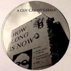 A Guy Called Gerald - How Long Is Now (VLS)