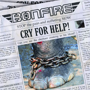 Cry For Help (EP)