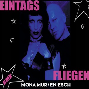 Eintagsfliegen (With En Esch) (EP)